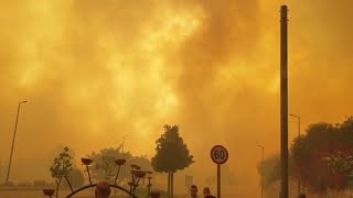 שריפת יער פורצת בג'רסלם בעקבות גל חום שגרם לפינוי