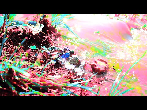 Near Death Experience Simulation [4k Version]