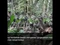Pakistan Army Praying Namaz