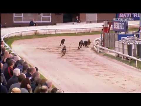 Cometwopass - Betfred Gymcrack Final 2017