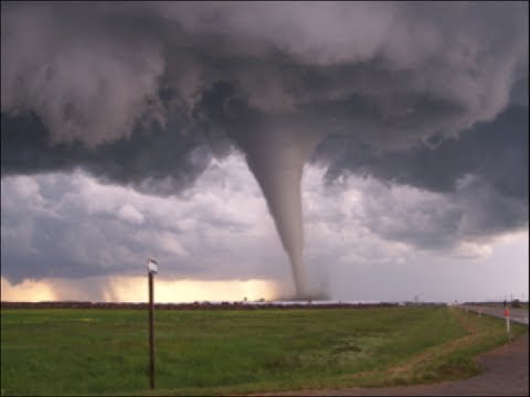 King Of Bawander 2019