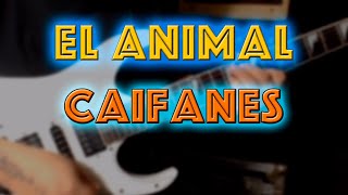 El Animal - Caifanes | Guitar Cover