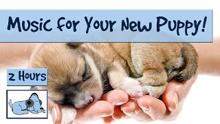 Anti-Anxiety Music for Newly Homed Puppies! Relax Your New Puppy with Soothing Sounds