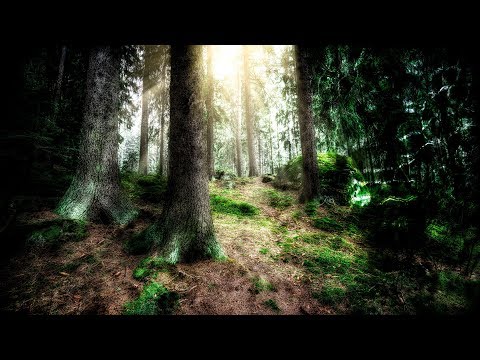 Wintersun - Awaken From The Dark Slumber (Spring) Official Lyric Video