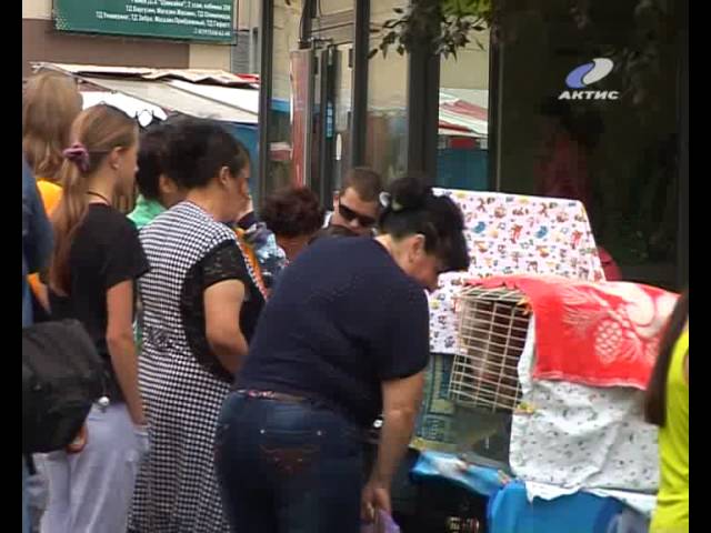 Благотворительную акцию в защиту животных провели в выходные