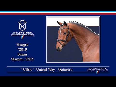 36. Holsteiner Frühjahrsauktion 2022 | Nr. 15 Ulfric