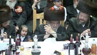פורים בחצה"ק בעלזא