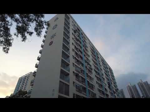徒步沙田禾輋邨 City walk in Wo Che Estate, Sha Tin