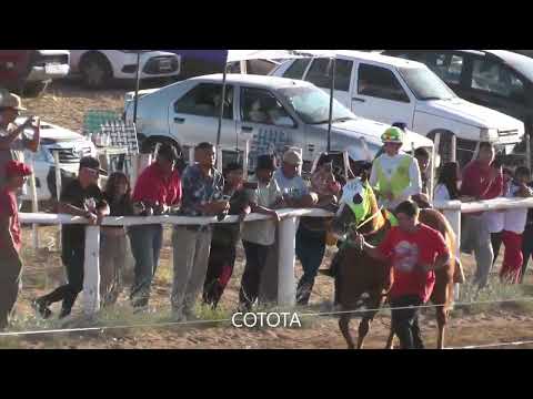 ELEGANTE  Club Hipico "Viento Sur" -   Cutral Co    19-03-2023