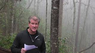 Lake Keowee Real Estate Video Update February 2026 Mike Matt Roach Top Guns Realty