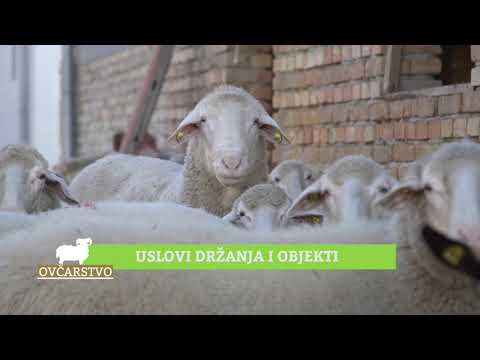 Ovčarstvo ep. 4 16.10.2018. NAJAVA
