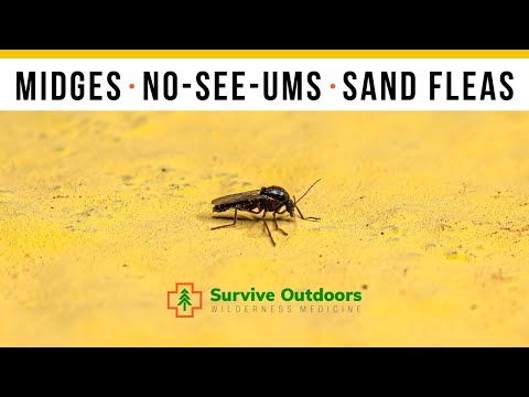 What are No See-Ums?