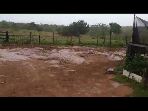 chuva chegou nô Norte de Minas Gerais riachinho MG