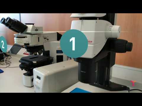 Onirix Constructor Video