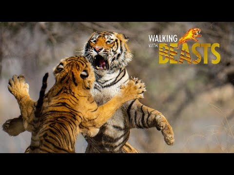 Walking with Beasts intro with modern animals