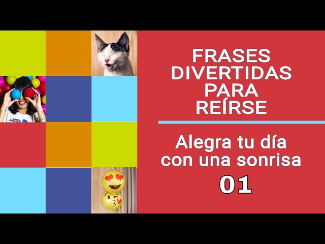 Vídeo relacionado con Frases divertidas y graciosas a mujeres con humor - Camiseta regalo humor - Talla XS - Negro - Manga larga - Jersey - Talla única - Mujer - Humoroso - Camisa