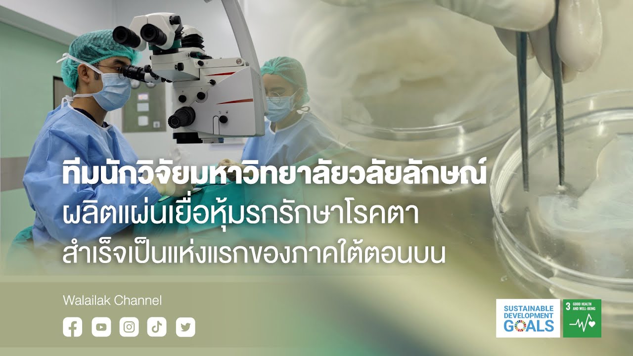 Walailak Research&innovation : ทีมนักวิจัยมหาวิทยาลัยวลัยลักษณ์ ผลิตแผ่นเยื่อหุ้มรกรักษาโรคตา