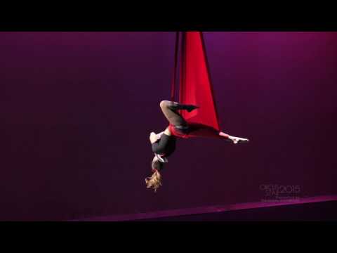 Circus Star 2015 - Competitor, Dark Karousel