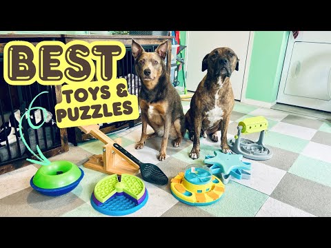 Which Dog Puzzle Toy is Worth It? I Tested & Rated Them!