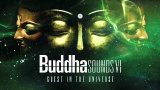 Buddha Sounds VI -Tonight (Roots & Dub Mix)