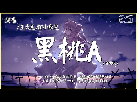 王大毛, DJ小鱼儿 - 黑桃A
