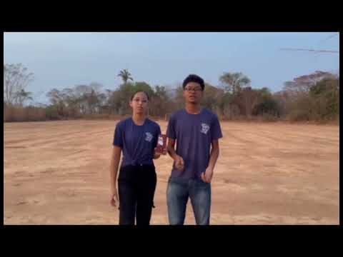 Queimadas no Tocantins 