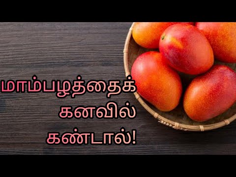 மாம்பழத்தைக் கனவில் கண்டால் | mampalathai kanavil kandal| mango in dream kanavu palangal in tamil