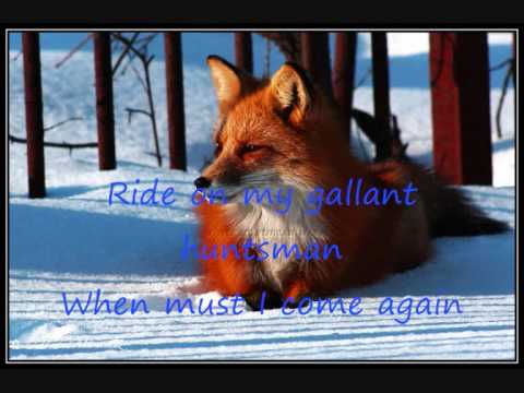 Lyrics- Black Fox