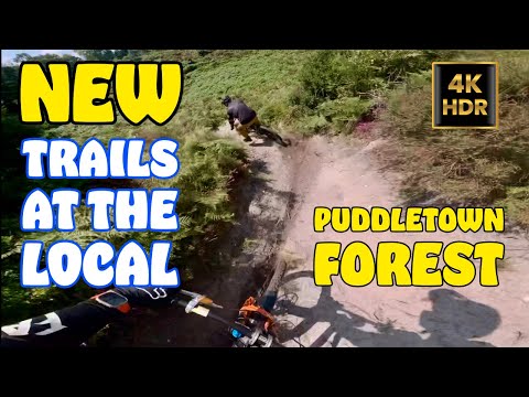 NEW Trails at the Local - Puddletown Forest