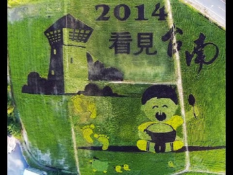 看見台南 後壁彩繪稻田 空中攝影 空拍
