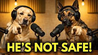 Your Dog Detect BAD People In Seconds