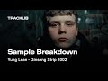Sample Breakdown: Yung Lean - Ginseng Strip 2002