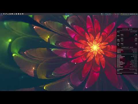 ArcoLinux : 3008 Bspwm and Polybar - analyzing the icons to the left - remove last icon