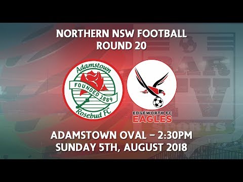 2018 NNSWF NPL Round 20 - Adamstown Rosebud FC v Edgeworth Eagles FC