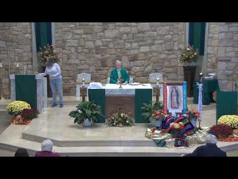 Missa diária às 12h00 - 6 de novembro de 2023