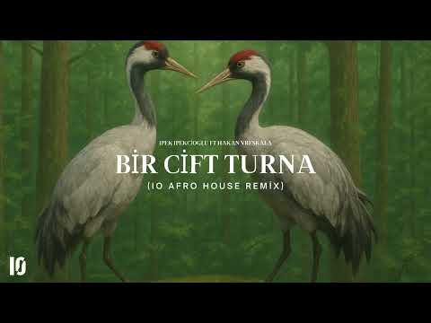 Ipek Ipekcioglu ft Hakan Vreskala - Bir Cift Turna (IO Afro House Remix)