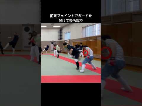 前足フェイントで後ろ蹴り　#後ろ蹴り