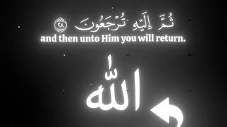 Download lagu How can you Disbelief in Allah: Surah Al-Baqarah 28-29 Explained by Mahdi Ash Shishani mp3 Download lagu How can you Disbelief in Allah: Surah Al-Baqarah 28-29 Explained by Mahdi Ash Shishani mp3