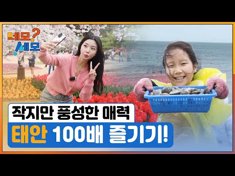 [네모세모] 작지만 풍성한 매력! 태안