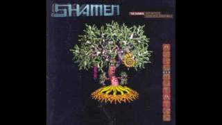 The Shamen - Extraterrestrial