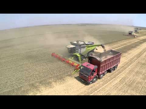 BREVIS LTD Bulgaria Agriculture company