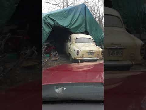 Thumbnail for barn find 1960 simca pulled for first bath in 50 years by Simca