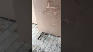 Video After plasterd