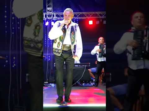 Nelu Bitina nou 2024