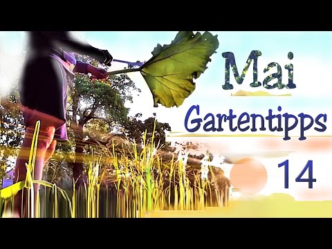 Garten im Mai | 14 Tipps