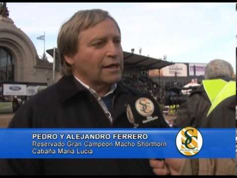 PEDRO Y ALEJANDRO FERRERO - Cabaña Maria Lucia - Reservado Gran Campeon Macho Shorthorn