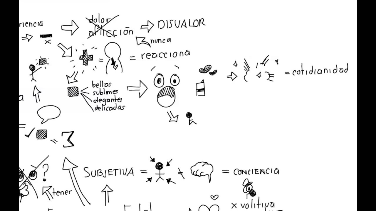 Experiencia estética