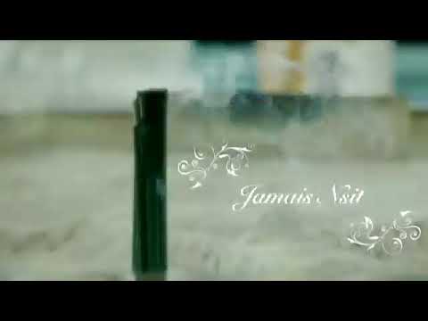 Mister chipo jamais nsit