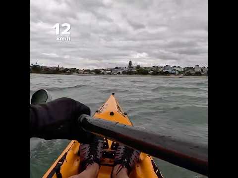 Cobra Kayak Eliminator #kayak #kayaker #kayakingfun #newzealand