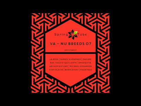 Nae-Tago & Squillante - Cognitive (Original Mix) [SPR127NBD07]